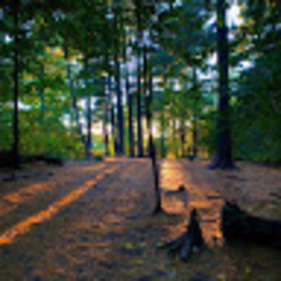 Meet your Posher, Kailey - Picture 1 of 1